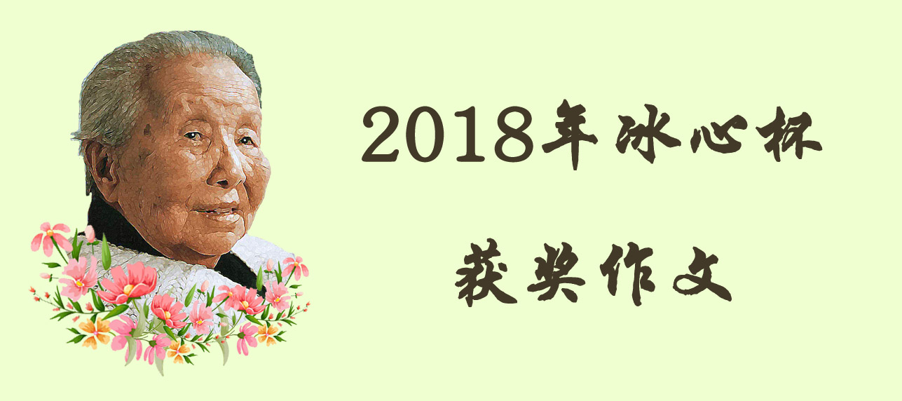 《隐藏起来的温柔》