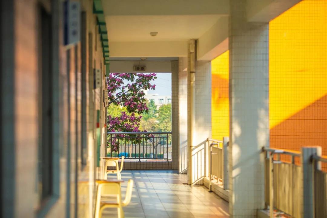 Ride dreams like horses, live up to your youth | Meet the finest autumn and the finest striving at Shunde Wonder School