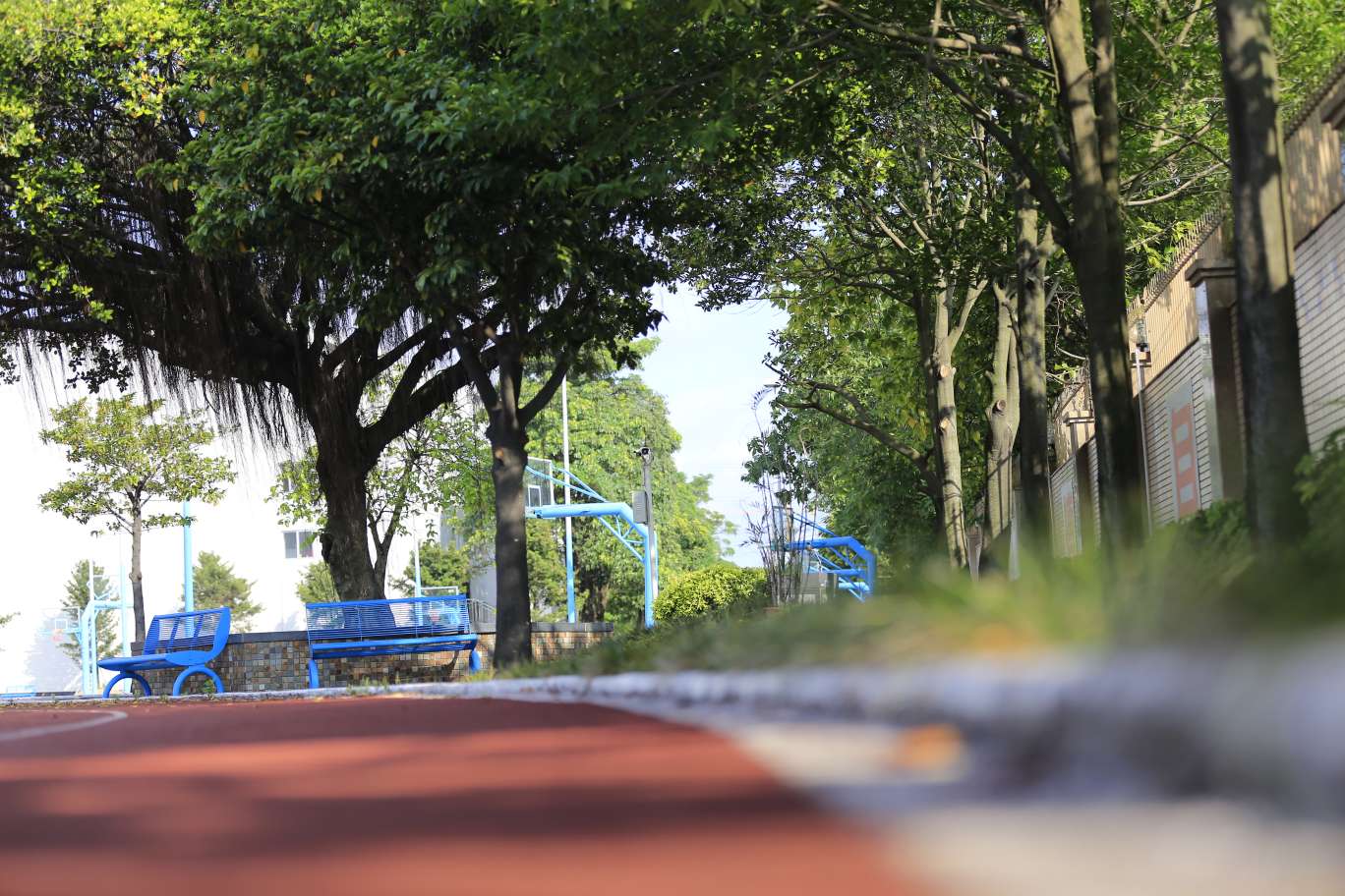 A Corner of the Campus
