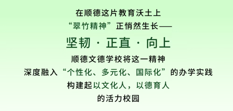 Green bamboo grows toward the sun | Shunde Wonder School: the 'green bamboo spirit' empowers diverse growth